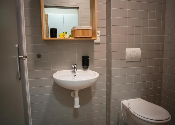 公寓 Stara Celnice