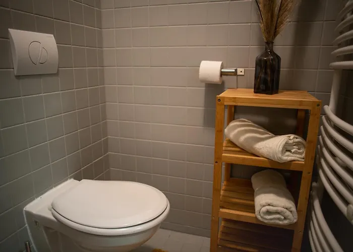 公寓 Stara Celnice