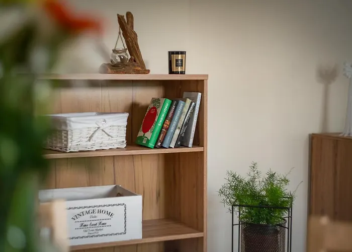 Stara Celnice 公寓 *