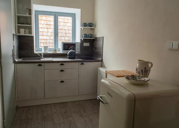 公寓 Stara Celnice *