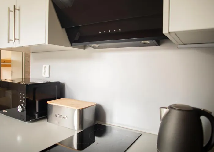 Stara Celnice 公寓